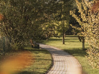 Spazierweg durch den grünen Garten 